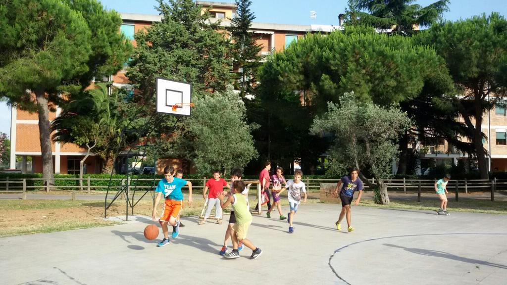 Campo Basket 167